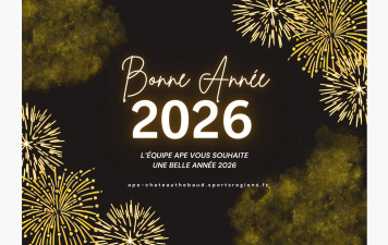 VŒUX NOUVELLE ANNÉE